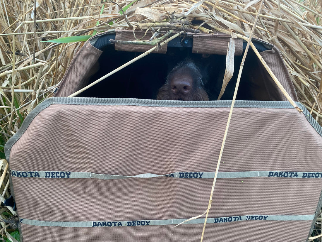 Dakota Decoy (DD) Quick Release Blind