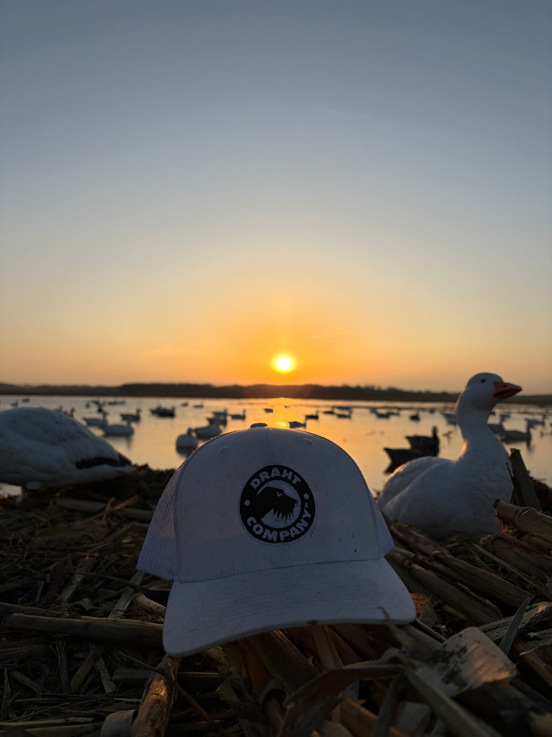 DRAHT CO Snow Goose Hat back view showing snapback adjustable closure with lake sunrise view