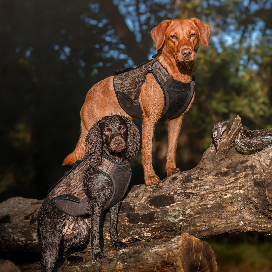 ReKoile 2.0 Sure Fit Waterfowl Dog Vest – Mossy Oak Bottomland, side view with Boykin spaniel and red lab on tree stump