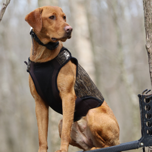 ReKoile 2.0 Sure Fit Waterfowl Dog Vest – Mossy Oak Bottomland, side view Yellow lab in timber stand
